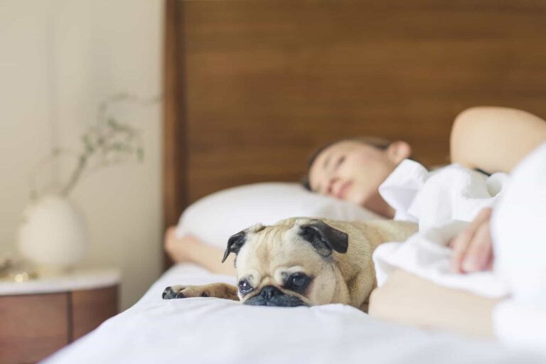 5 Sleep Specialists On What They Do When They Can't Fall Asleep